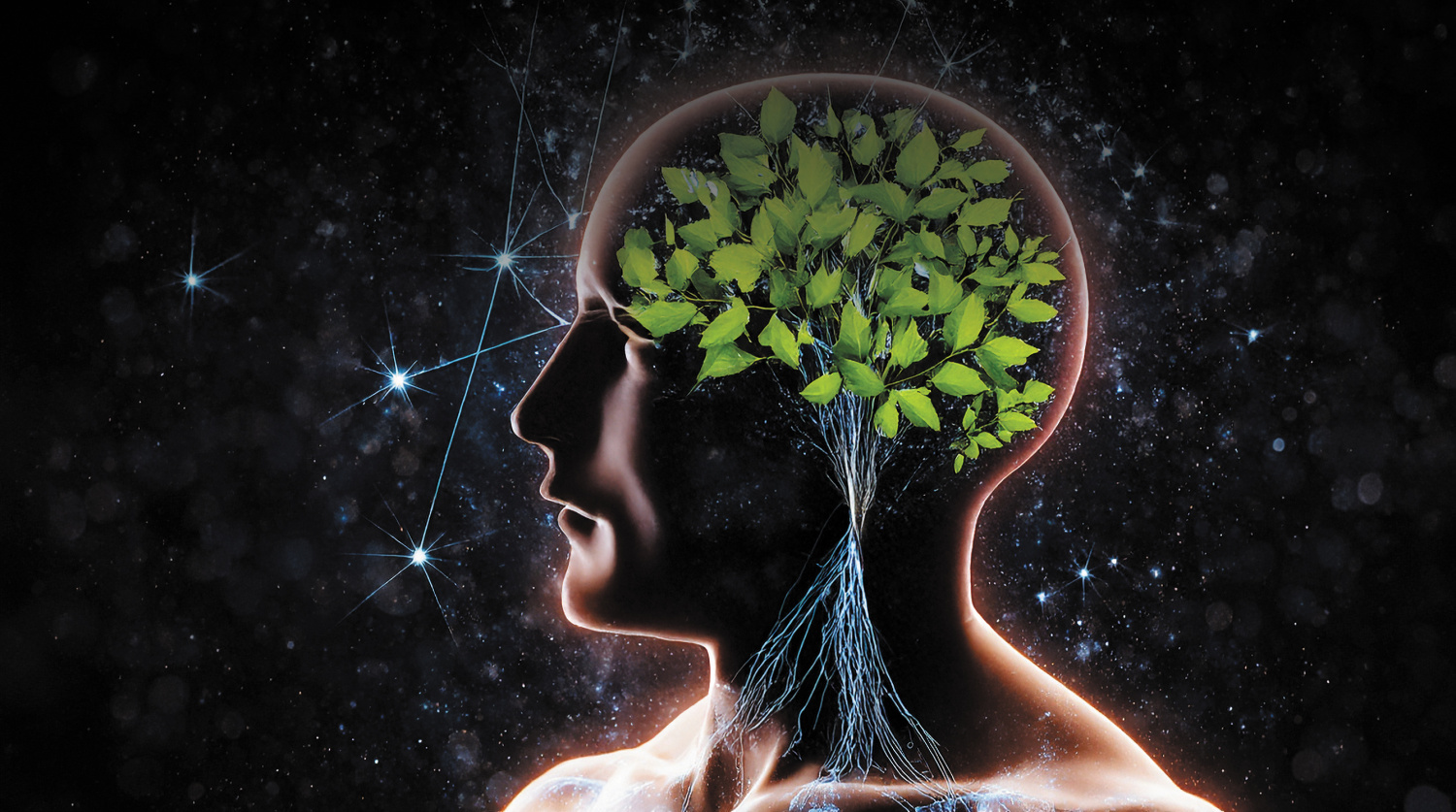 Просветительские проекты для москвичей, посвященные ментальному здоровью